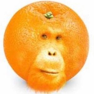 Meet your Posher, Jaci